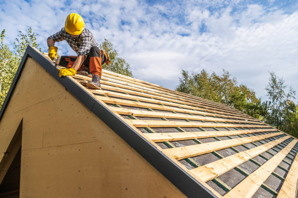 Best Roof Maintenance Services  in Fairview, MT